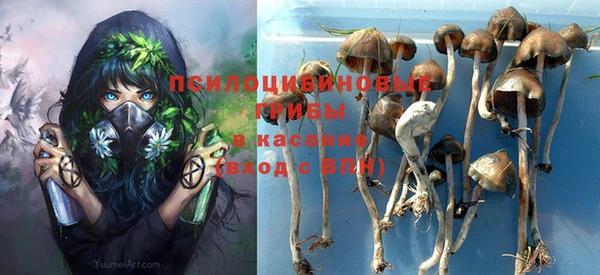 не бодяженный Осинники