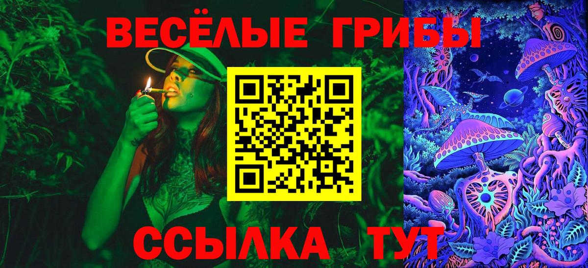 Юрга  Галлюциногенные грибы мухоморы  Вход с VPN 