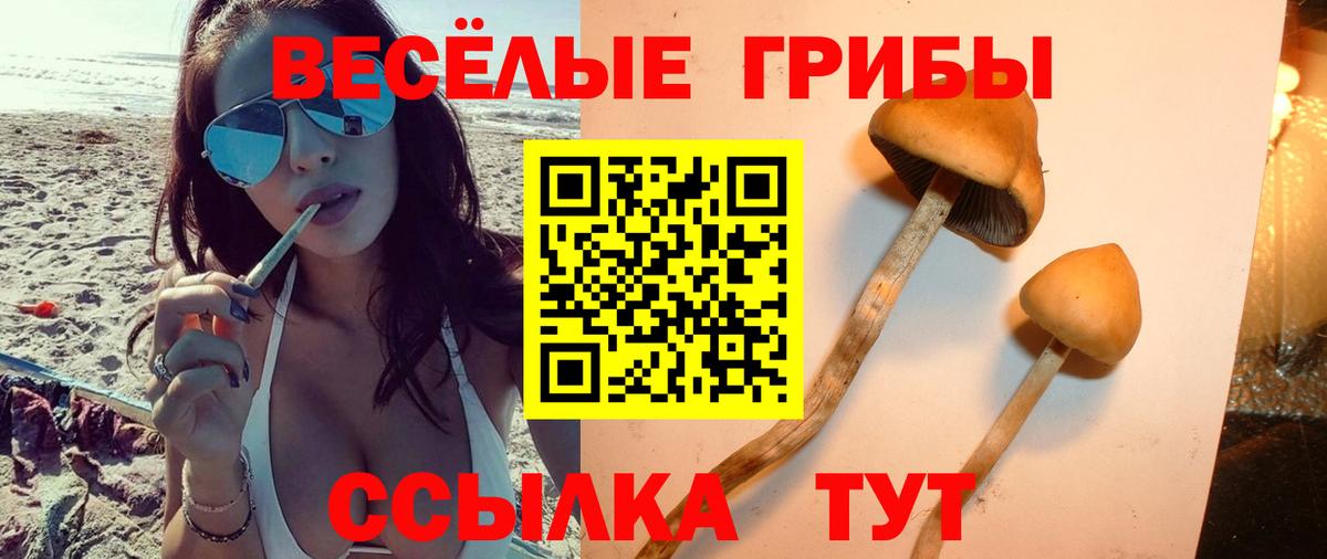Псилоцибиновые грибы MAGIC MUSHROOMS Юрга